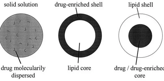 Figure  2-1  -  Three  drug  incorporation  models  (solid  solution  model  (left),  core-shell  models  with  drug- drug-enriched shell (middle) and drug-drug-enriched core (right))
