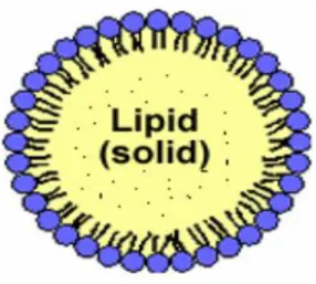 Figure 2-4 – Schematic representation of the structure of a solid lipid nanoparticle (SLN)