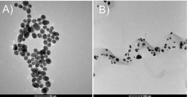 FIGURA  3.1  -  Imagens  obtidas  por  MET  da  superfície  do:  (A)  AuNPs-DHP  e  (B)  AuNPs-MWCNTs-DHP (C) Histograma do número de AuNPs vs