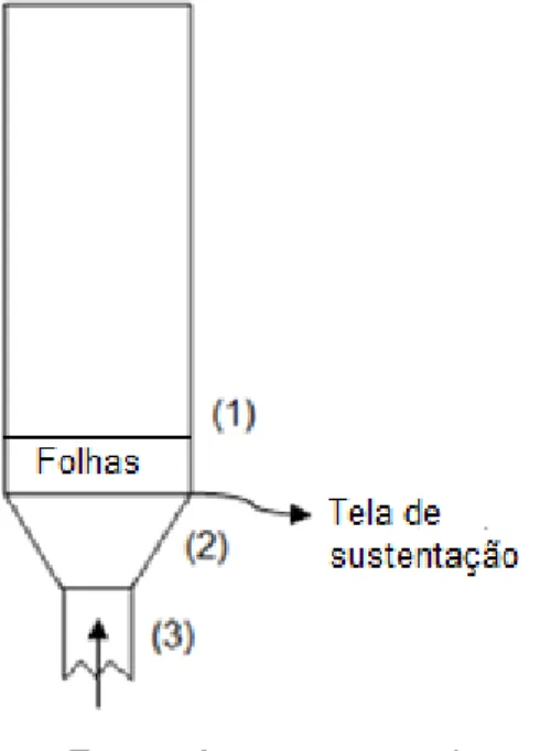 Figura 3.11: Esquema de coleta de folhas: A, B, C, e D correspondem  às amostras coletadas no sentido radial (a) e 1, 2 e 3 à altura do leito (b)