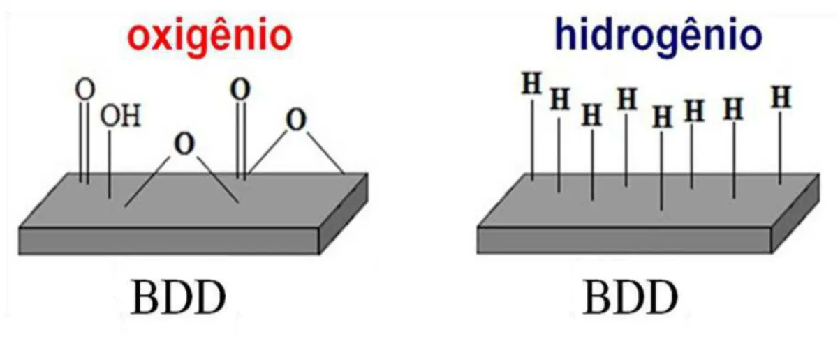 Figura  1.4  -  Esquema  ilustrativo  das  diferentes  terminações  superficiais  dos  eletrodos de BDD