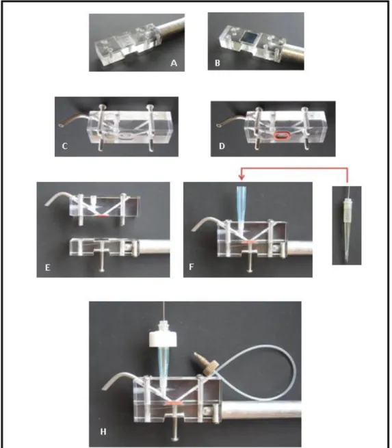 Figura  2.5  -  Fotografias  mostrando  a  montagem  da  célula  eletroquímica  para  análises  em  fluxo:  (A)  Haste  em  alumínio  fixada  ao  suporte  em  acrílico,  (B)  suporte  em  acrílico  com  o  eletrodo  de  BDD  acomodado,  (C)  e  (D)  Visão 