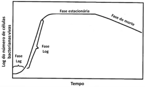 FIGURA  4.4  –   Curva  padrão  de  crescimento  bacteriano.  Indicadas  as  fases:  Lag,  Log, Estacionária e Fase de Morte