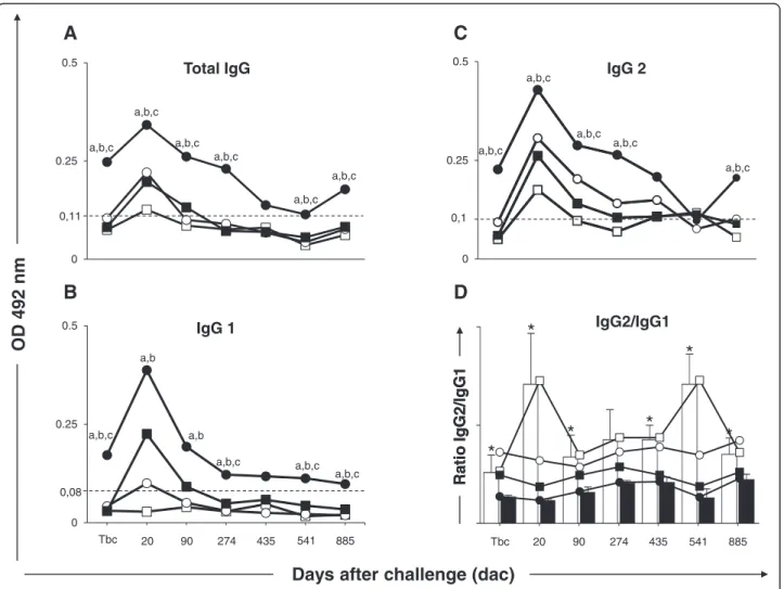 Figure 1 Anti-Leishmania reactivity in serum from dogs submitted to different vaccination protocols before and after intradermal challenge with L