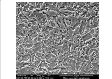 Figure 3 shows the microhardness profile along the cross section  of the coating/substrate