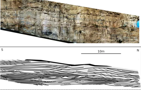 Fig. 8. Large-scale trough cross-strata and trough-shaped cross-strata sets in the Serra Grande Formation interpreted as deposits of large barchanoid dunes