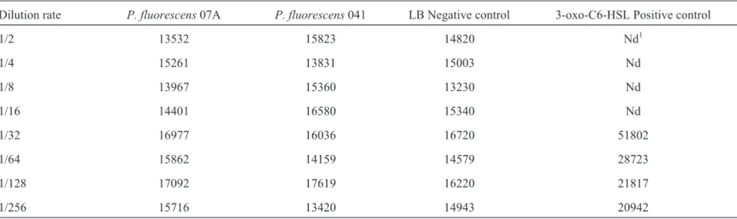 Table 2 - Values of bioluminescence produced by E. coli MT102 pSB403 at 175 nm, after growth in LB broth supplemented with supernatant of P.