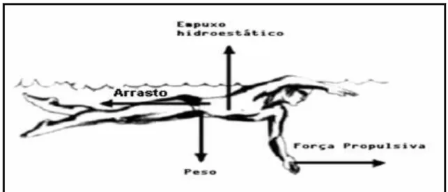 Figura 9 – Forças atuantes no meio aquático. 