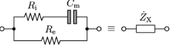 Fig. 4. Principle of operation of an ac impedance measurement system.