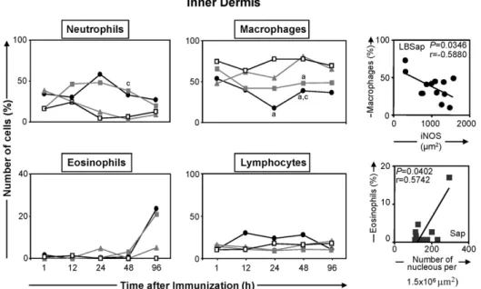 Fig. 6. Left and middle panels: comparative analyses of the selective migration of cells to the inner dermis of dogs at various times after inoculation with saline (control group S; ), saponin (Sap group; ), antigen of L
