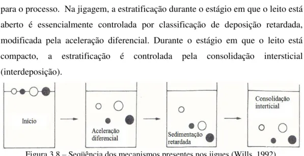 Figura 3.8  –  Seqüência dos mecanismos presentes nos jigues (Wills, 1992). 