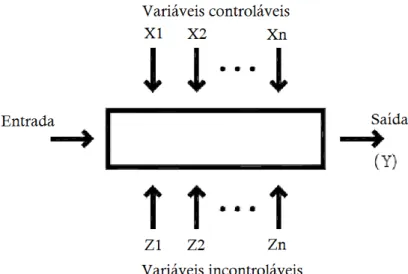 Figura 3.12  –  Variáveis envolvidas em um planejamento estatístico. 