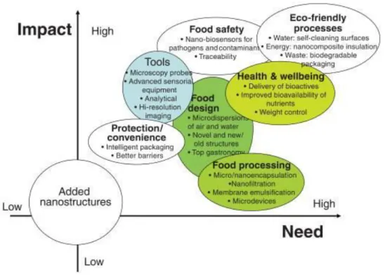 Figure 3 - The impacts and needs of nanotechnology applications in foods and food processing