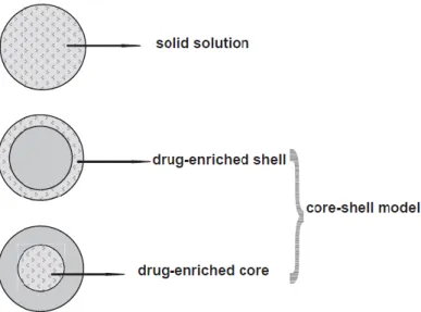 Figure 7 – Three drug incorporation models. Homogeneous matrix of solid solution (upper), drug-free core with  drug-enriched shell (middle), drug-enriched core with lipid shell (lower)