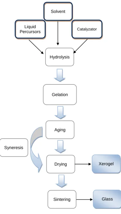 Figure 1. 5  – Summarizing scheme of Sol-gel technique for glass  production. Adapted from [14]
