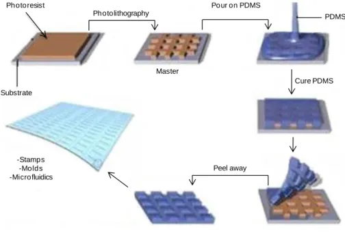 Figure 1. 8 - Soft–Lithography process to obtain a final elastomeric negative mold with the desired pattern