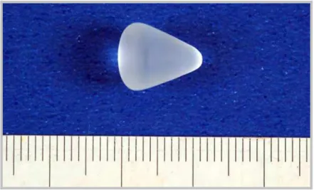 Figura 2. Vista lateral do cone de biovidro utilizado no presente experimento. 