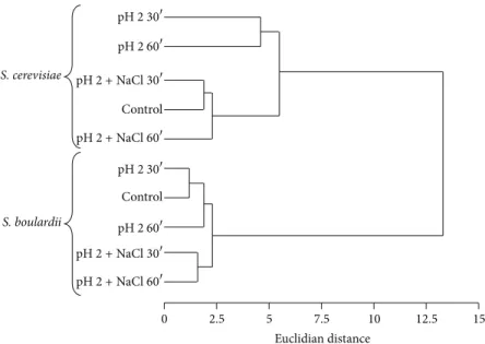 Figure 2: Dendrogram of the fatty acid composition of yeast cytoplasmic membranes. Data were analysed by the standardized Euclidian distance, and the calculated matrix distance was used for clustering analysis by the UPGMA method