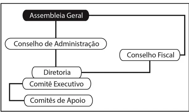Figura 4 - Estrutura de governança do Grupo Randon 
