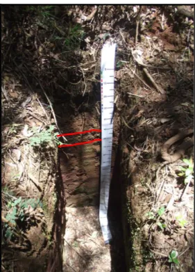 Figura 3.7: Perfil de solo da trincheira 3 com a localização da linha de pedra. 