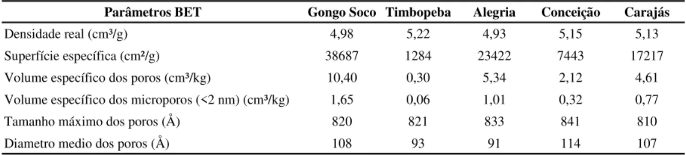 Tabela 5  - Resultados de medição de porosidade dos minérios pelo método BET. 