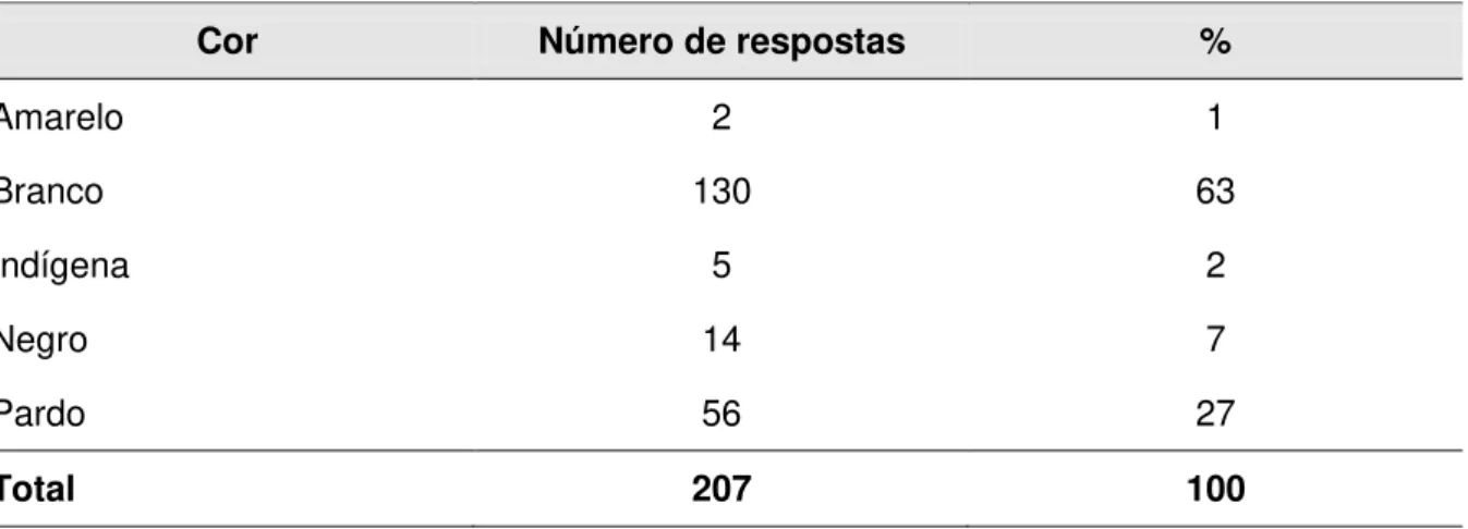 Tabela 4  – Número de respondentes por cor 