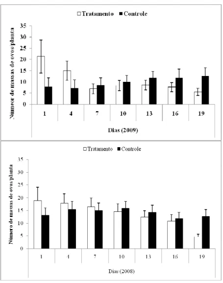 Fig. 6. Analise da variação do número de massas de ovos de Calloconophora pugionata para ambos os  galhos experimentais no primeiro e segundo ano de coleta