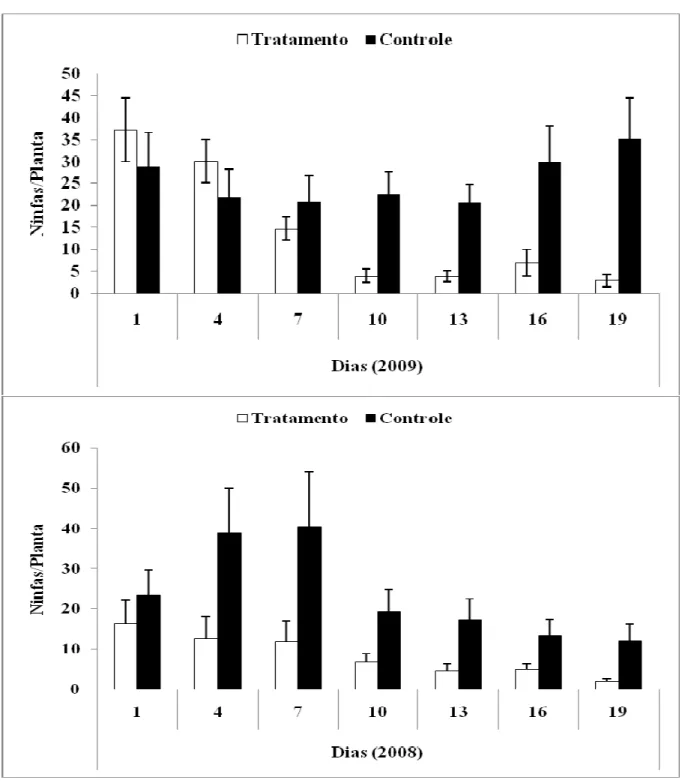 Fig. 7. Analise da variação da sobrevivência do número de ninfas de Calloconophora pugionata para  ambos  os  galhos  experimentais  no  primeiro  e  segundo  ano  de  coleta