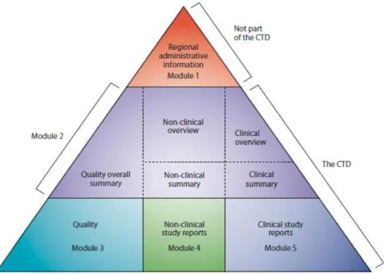 Figure 2 – Common Technical Document Organization, reproduced from reference (7) 