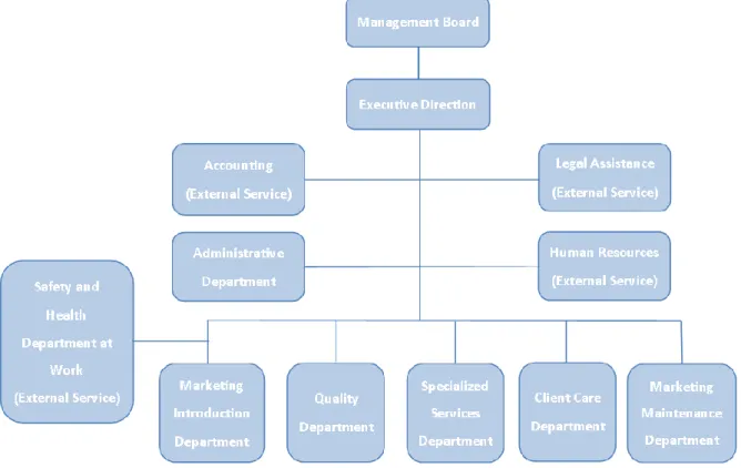 Figure 3 – Phagecon's Organogram, adapted from reference (10) 