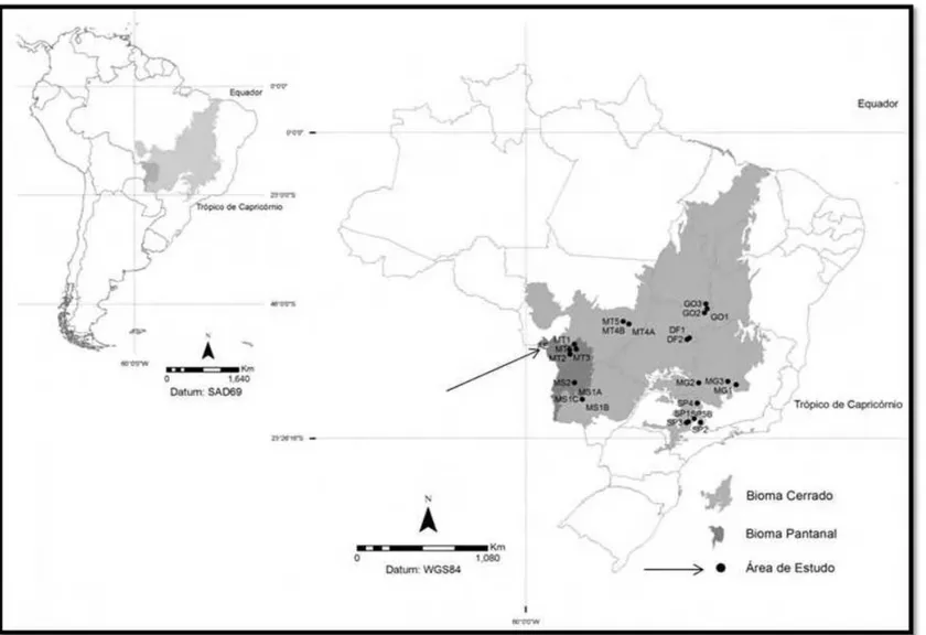 Figura 10 - Mapa de localização das áreas utilizadas para comparação fitogeográfica. Área de Estudo (AE – indicada pela seta), Distrito Federal (DF), Goiás (GO), Mato  Grosso do Sul (MS), Mato Grosso (MT), Minas Gerais (MG) e São Paulo (SP)