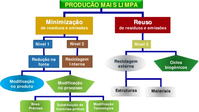 Figura 1.1. Níveis de Atuação da Produção mais Limpa  Fonte: CNTL (2001) 