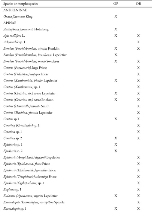 Table 1. Bee species sampled in Ouro Preto (OP, from October 2001 to July 2002) and Ouro Branco  (OB, from October 2002 to July 2003), Minas Gerais state, Brazil