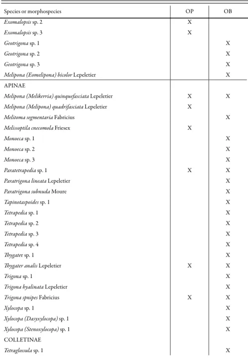 Table 1. Bee species sampled in Ouro Preto (OP, from October 2001 to July 2002) and Ouro Branco  (OB, from October 2002 to July 2003), Minas Gerais state, Brazil (continued).