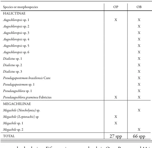 Table 1. Bee species sampled in Ouro Preto (OP, from October 2001 to July 2002) and Ouro Branco  (OB, from October 2002 to July 2003), Minas Gerais state, Brazil (continued).