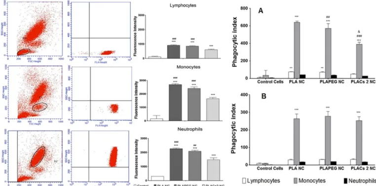 Fig. 7. Eﬀect of polymer concentration or number of nanocapsules on the cytotoxicity against J774A.1 cells