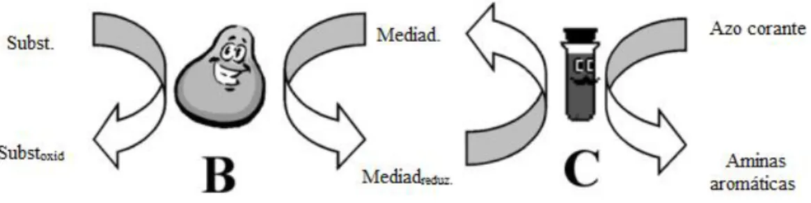 Figura 2.14 - E 0  para diferentes mediadores redox Fonte:(Dos Santos et al., 2007) .