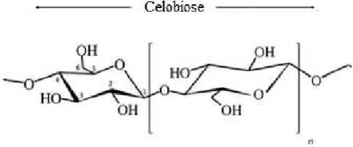 Figura 2.18: Estrutura molecular da celobiose (Huber et al., 2012) 