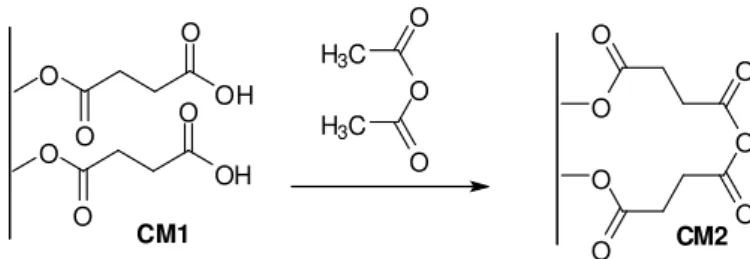 Figura 4.3 -Modificação química da CM1com anidrido acético 