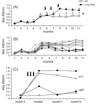 Fig. 1. Evolution of the anti-FML antibody absorbency values with time in Leishmania (L.) chagasi experimentally infected dogs treated with saline or with Leishmune ® vaccine