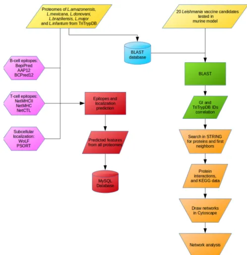 Figure 4. Workflow of analysis showing the steps followed along this work.