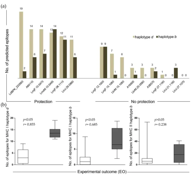 Figure 2. Evaluation of epitopes amount and relationship with experimental outcome: (a) bar graph showing number of epitopes for MHC class I and II (haplotype d and b) in the selected antigens classified in “protection” and “no protection” groups; and (b) 