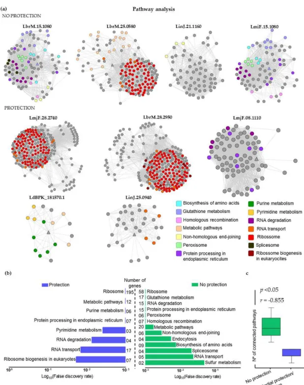 Figure 3. Immunogenic proteins mapped in Protein-Protein Interaction (PPI) networks: