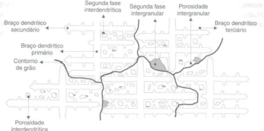 Figura 1 Esquema da Microestrutura  da Liga