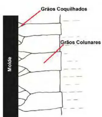 Figura 7 Zona de crescimento de grãos colunares. 