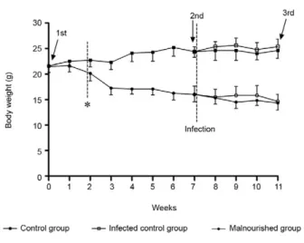 Fig. 1: body weight from mice fed with control or malnutrition diet. 
