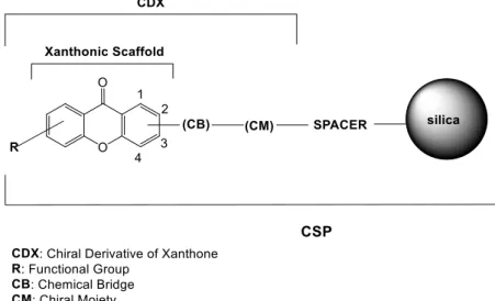 Figure 8. Schematic representation of a CSP based on CDX. 