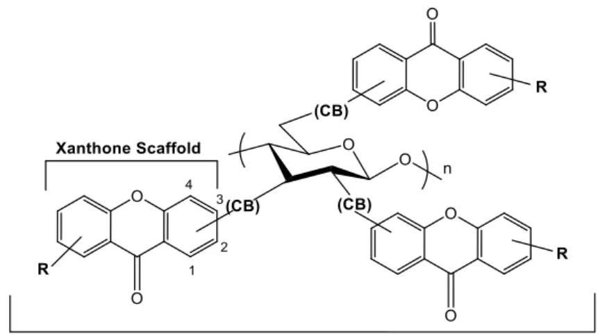 Figure 10. Schematic representation of a chiral selector based on a xanthone- xanthone-polysaccharide derivative