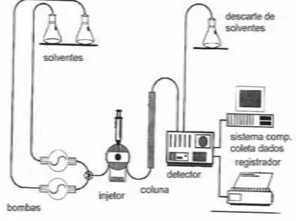 Figura 2: Instrumentação básica do método de HPLC (SILVA, 2010). 