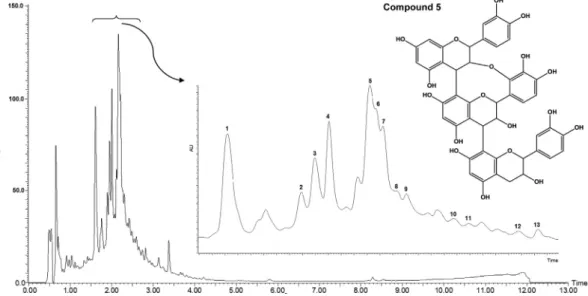 Fig. 1. RP-UPLC–DAD profile of aqueous extract from Ocotea odorifera leaves (EOO). Conditions: CHS130 100 RP-18 column (1.7 l m, 50 3 mm i.d.)